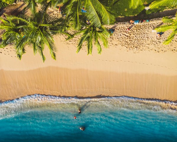 Comment trouver une croisière qui initie à la voile traditionnelle dans l'océan Pacifique?